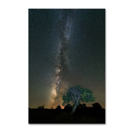 Michael Blanchette Photography 'Stars Over Pinon' Canvas Art,12x19